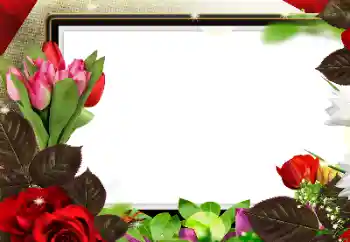 Photo effect from category Women's photo frames № 188224