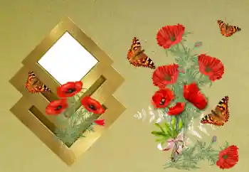 Photo effect from category Women's photo frames № 189371