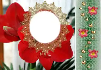 Photo effect from category Women's photo frames № 190480