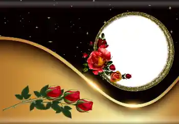 Photo effect from category Women's photo frames № 190527