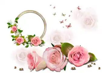 Photo effect from category Women's photo frames № 190616 Photo effect from category Women's photo frames № 190616