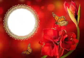 Photo effect from category Women's photo frames № 191699 Photo effect from category Women's photo frames № 191699