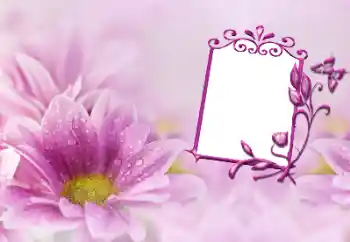 Photo effect from category Women's photo frames № 191747 Photo effect from category Women's photo frames № 191747