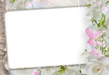 Photo effect from category Women's photo frames № 192942 Photo effect from category Women's photo frames № 192942