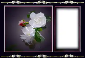 Photo effect from category Women's photo frames № 194163 Photo effect from category Women's photo frames № 194163