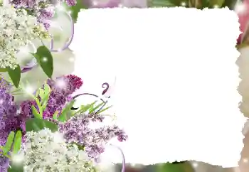 Photo effect from category Women's photo frames № 194234 Photo effect from category Women's photo frames № 194234