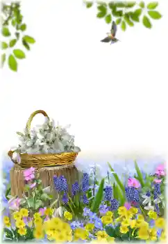 Photo effect from category Women's photo frames № 195329 Photo effect from category Women's photo frames № 195329