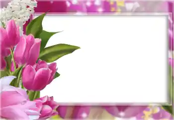 Photo effect from category Women's photo frames № 196363 Photo effect from category Women's photo frames № 196363