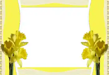 Photo effect from category Women's photo frames № 196380 Photo effect from category Women's photo frames № 196380