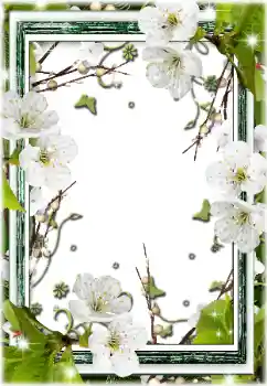 Photo effect from category Women's photo frames № 196595 Photo effect from category Women's photo frames № 196595