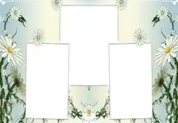 Photo effect from category Women's photo frames № 196602 Photo effect from category Women's photo frames № 196602