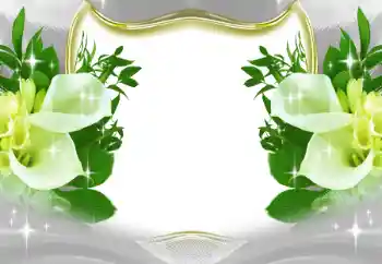 Photo effect from category Women's photo frames № 197643