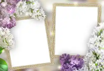 Photo effect from category Women's photo frames № 198787 Photo effect from category Women's photo frames № 198787