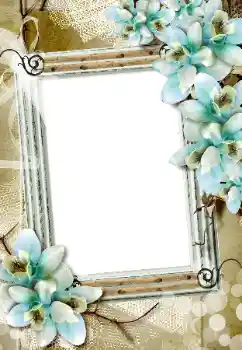 Photo effect from category Women's photo frames № 198873 Photo effect from category Women's photo frames № 198873