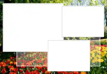 Photo effect from category Women's photo frames № 198891 Photo effect from category Women's photo frames № 198891