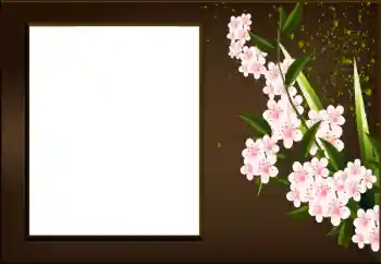 Photo effect from category Women's photo frames № 198973 Photo effect from category Women's photo frames № 198973