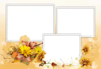 Photo effect from category Women's photo frames № 198975