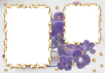 Photo effect from category Women's photo frames № 203262