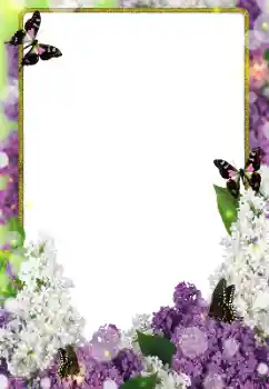 Photo effect from category Women's photo frames № 203271 Photo effect from category Women's photo frames № 203271