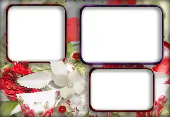 Photo effect from category Women's photo frames № 203315 Photo effect from category Women's photo frames № 203315