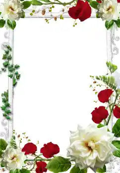 Photo effect from category Women's photo frames № 205375 Photo effect from category Women's photo frames № 205375