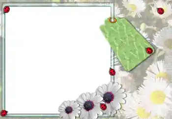 Photo effect from category Women's photo frames № 205379 Photo effect from category Women's photo frames № 205379