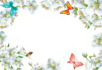 Photo effect from category Women's photo frames № 205423 Photo effect from category Women's photo frames № 205423