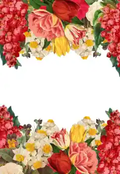 Photo effect from category Women's photo frames № 205744 Photo effect from category Women's photo frames № 205744