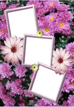 Photo effect from category Women's photo frames № 205803 Photo effect from category Women's photo frames № 205803
