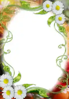 Photo effect from category Women's photo frames № 205809 Photo effect from category Women's photo frames № 205809