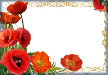 Photo effect from category Women's photo frames № 205838 Photo effect from category Women's photo frames № 205838