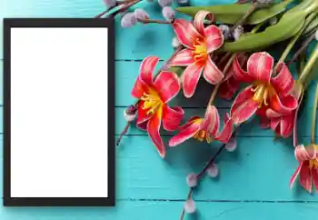 Photo effect from category Women's photo frames № 206174