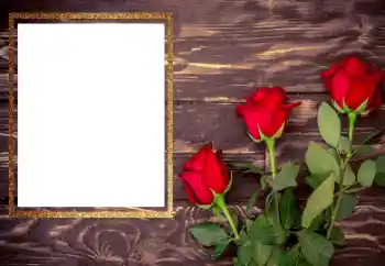 Photo effect from category Women's photo frames № 206175