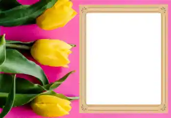 Photo effect from category Women's photo frames № 206177