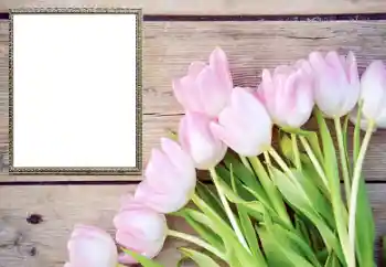 Photo effect from category Women's photo frames № 206178