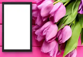 Photo effect from category Women's photo frames № 206179