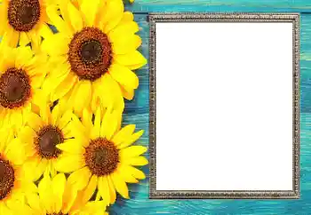 Photo effect from category Women's photo frames № 206182