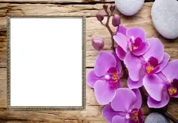 Photo effect from category Women's photo frames № 206185