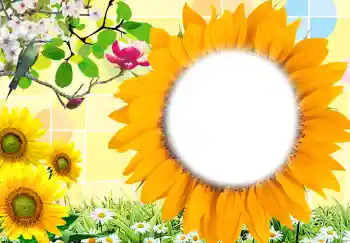 Photo effect from category Women's photo frames № 212