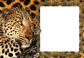 Photo effect from category Women's photo frames № 214