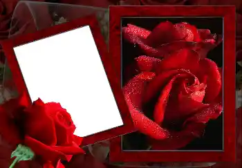 Photo effect from category Women's photo frames № 2157 Photo effect from category Women's photo frames № 2157