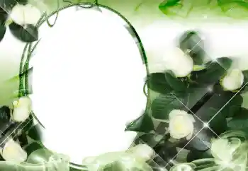 Photo effect from category Women's photo frames № 2159 Photo effect from category Women's photo frames № 2159