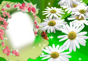 Photo effect from category Women's photo frames № 2160 Photo effect from category Women's photo frames № 2160