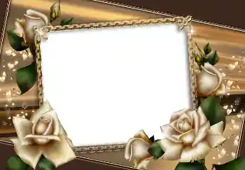 Photo effect from category Women's photo frames № 2168 Photo effect from category Women's photo frames № 2168
