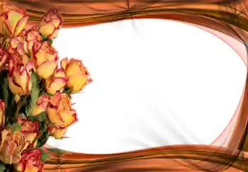 Photo effect from category Women's photo frames № 2170 Photo effect from category Women's photo frames № 2170