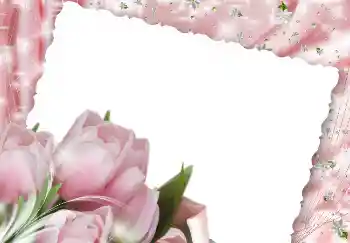 Photo effect from category Women's photo frames № 2171 Photo effect from category Women's photo frames № 2171