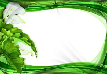 Photo effect from category Women's photo frames № 2177 Photo effect from category Women's photo frames № 2177