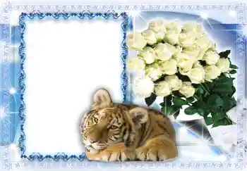 Photo effect from category Women's photo frames № 221