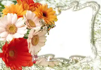 Photo effect from category Women's photo frames № 224