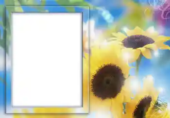 Photo effect from category Women's photo frames № 231